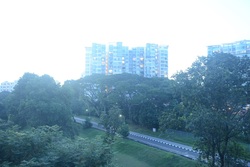 Blk 105 Potong Pasir Avenue 1 (Toa Payoh), HDB 4 Rooms #379603921